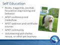 How To Become A Professional Dog Trainer How To Become A Professional Dog Trainer