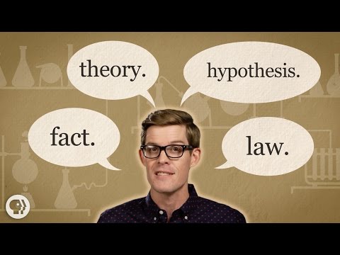 What do laws and theories have in common?