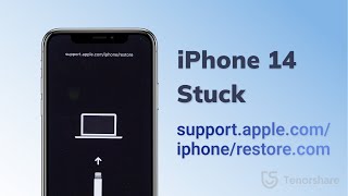 iPhone 14/14pro/14 pro max: Stuck on support.apple.com/iphone/restore.com? 4 efficient ways here!