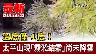 溫度僅-1度！ 太平山現「霧淞結霜」尚未降雪【最新快訊】