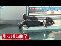 【独占密着】天王寺動物園ペンギン・アシカがお引っ越し