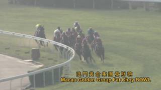 12 02 2017 Race5 澳門黃金集團發財碗MACAU GOLDEN GROUP FAT CHOY BOWL