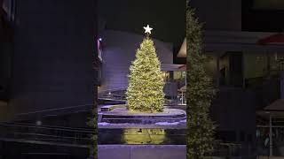 The night view of the(키치너밤거리) kitchener#kitchener#Ontario#Canada