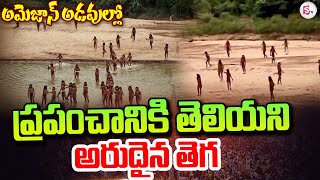 అమెజాన్ అడవుల్లో అరుదైన తెగ | Amazon Forest | Mashco-Piro @sumantvguntur946