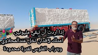 اذا اردت أن تشعر بالسعادة/امتلك فدان نخل عند المحلاوي في الفرافره بتراب الفلوس 01110050209