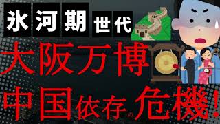 【悲報】2025年大阪万博に大量の中国人が来る？大阪市長や関経連会長らが大挙して中国で乾杯！観光客で大阪経済も回る！SNS「すでに中国人多い」