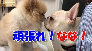 手術翌日、頑張れなな！