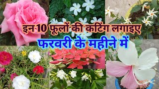 इन 10 फूलों की कटिंग लगाइए फरवरी के महीने में / Cuttings Grow In February / Flowers Plant ! By Priya