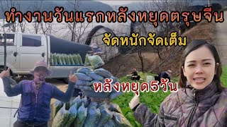 EP.42 ทำงานวันแรกหลังหยุดตรุษจีน 5 วัน | จัดหนักจัดเต็มแบบจุกๆไปเลยจ้า