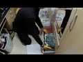 Horrifying moment police find David Fuller's cache of morgue images |David Fuller's|Today Viral News