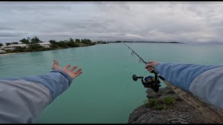 Quick Fish' On A Stormy Day