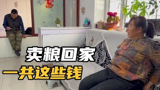 1661 种地赚钱不？老爸卖掉家里剩余的玉米，回家手握票据和老妈报数！