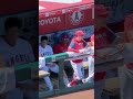 近っ‼︎ スアレスの耳元で囁く大谷選手 shorts 大谷翔平 shoheiohtani エンゼルス angels mlb 現地映像