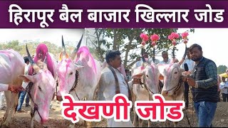 हिरापूर बैल बाजार | सर्वात देखणी बैल जोडी | Khillar Bail Market | Bull Market | गाय म्हैस बैल बाजार