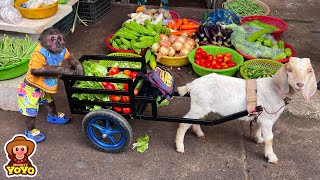 YoYo JR takes the Goat to buy vegetables to make a salad