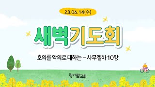 [청어람교회] 새벽기도회 설교 230614 - 호의를 악의로 대하는