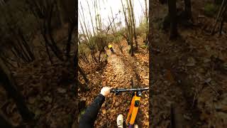 GoPro: Playin in the trees with Korbinian Engstler and Johannes Fischbach #GoProMAX #360 #mtb