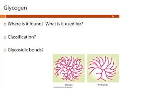 Nursing Chem - Carbohydrates Part 6 - Polysaccharides