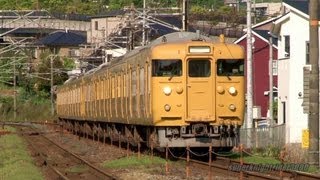 JR西日本 113系濃黄色8連(P-10編成+P-11編成) 宮内串戸→廿日市 2013.5