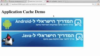 HTML5 Application Cache Network Only Resources