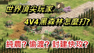 AOE2DE世紀帝國2決定版，世界頂尖玩家的4V4黑森林 Jordan秀了一把