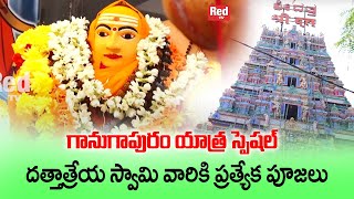 గానుగాపురం యాత్ర - దత్తాత్రేయ స్వామి వారికి ప్రత్యేక పూజలు | ganagapuram | Sravanthi | Latha | RedTv