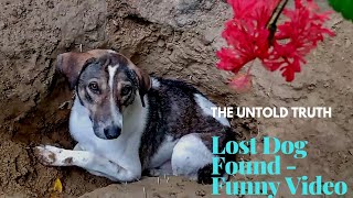 How I Found My Dog - LIVE FOOTAGE