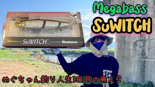 【バス釣り】Megabass:SuWITCH♪迫真のトランスフォームとは？久々の犬鳴川〜遠賀川本流下流域釣行♪#メガバス#スイッチ#8月バス釣り