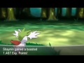 pokemon x and y how to get shaymin sky form