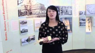 Pauline Wong, LSBF's ACCA student and Liberty Award Winner