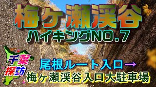 【千葉探訪】梅ケ瀬渓谷ハイキングNO.7　\