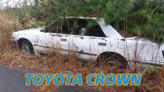 草ヒロ TOYOTA CROWN