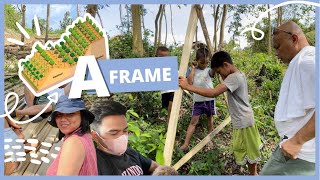 How to use an A-frame | SALT -Sloping Agricultural Land Technology👩‍🌾