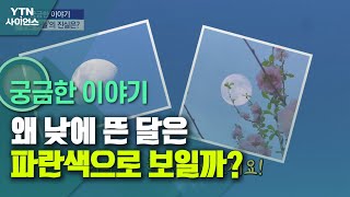 [궁금한 이야기] 왜 낮에 뜬 달은 파란색으로 보일까? / YTN 사이언스