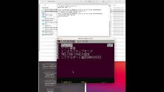 TWELITE DIP でセンサデータをみてみる（子機に設定を反映）