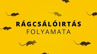 Rágcsálóirtás folyamata