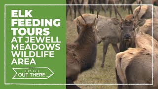 Roosevelt Elk feeding tours return at Jewell Meadows Wildlife Area