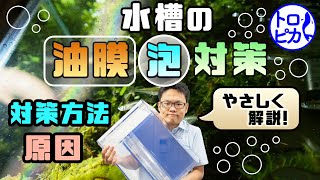 【完全版】水槽の油膜・泡対策！原因と対策方法をやさしく解説