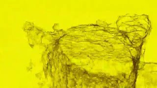 Plexus 2 Test Render #3