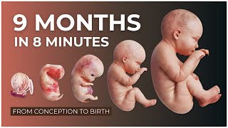 9 Months in 8 Minutes: Conception to Birth