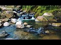 Asmr River Sounds Nature Sounds Stream Of Water Flowing In The River Nature River Video