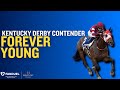 FOREVER YOUNG: Kentucky Derby Contender