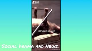 *UNSEEN* Dixie Damelio’s hacked account videos. (DELETED)