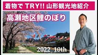 第10回🎏高瀬地区満開桜と鯉のぼり展☆着物でTRY👘山形観光紹介