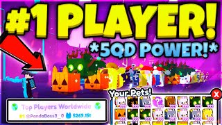 🥳 I GOT 5QD POWER & BECAME #1 BEST PLAYER (250 HUGE CATS!) In Pet Simulator X!