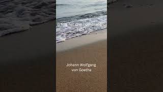 Erfolg hat drei Buchstaben TUN “ Johann Wolfgang von Goethe #zitate #sprüche