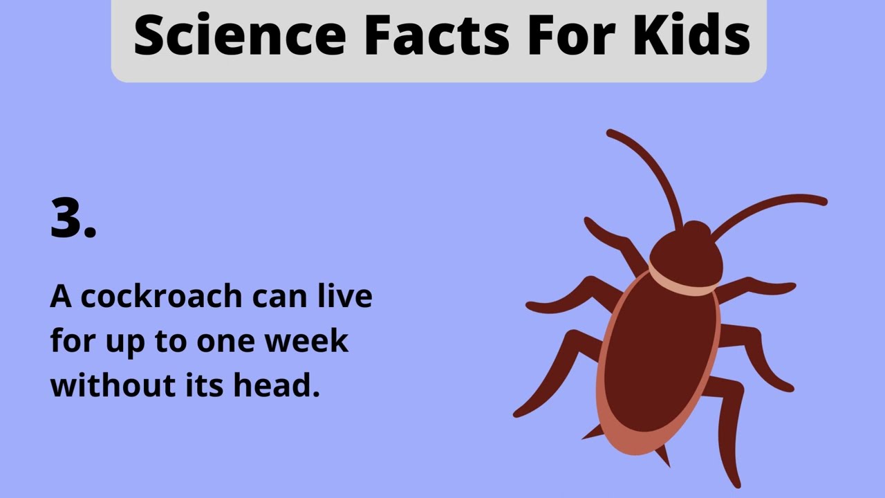 Interesting Science Facts For Kids