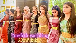 KOMA ÖZGÜN - şexaniya oremare kurdish wedding [2021]