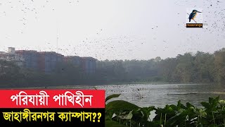 পাখির অভয়ারণ্য খ্যাত জাহাঙ্গীরনগরে এবার আসেনি কোন পরিযায়ী পাখি । Maasranga News