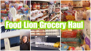 GROCERY SHOP WITH ME | GROCERY HAUL | Food Lion Everything Under $150 | FAMILY OF 3 | LifeAsBrittany